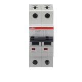 ST202M-K50 Miniature Circuit Breaker - 2P - K - 50 A