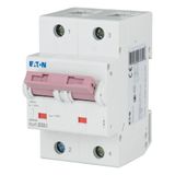 Miniature circuit breaker (MCB), 32A, 2p, D-Char, AC