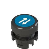 Blue flushed push button with marking E2 1PU2R621L58