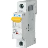 PXL-C25/1 Eaton Moeller series xPole - PXL MCB