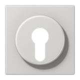 Centre plate f. key switch LS928LG