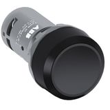 CP2-11G-10 Pushbutton