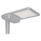 STREETLIGHT FLEX LARGE RV25ST P 110W 727 WAL