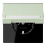 SCHUKO socket, with hinged lid, with ins LC1520BFNAKL218