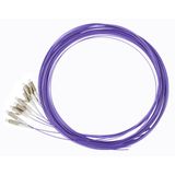 FO Pigtail LC, 50/125æm OM4, 2.0m, Easy Strip, violet,4pcs