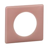 1 GANG PLATE OLD PINK