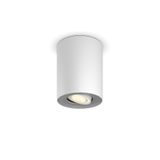 Pillar Hue single spot white 1x5W 230V