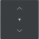 Cover for dimmer icon 1. Rocker keypad 63