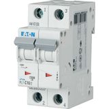 Miniature circuit breaker (MCB), 3 A, 2p, characteristic: B