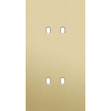 Twofold faceplate, vertical 71 mm centre distance, for double switch f