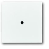 1745-84 CoverPlates (partly incl. Insert) future®, Busch-axcent®, solo®; carat® Studio white