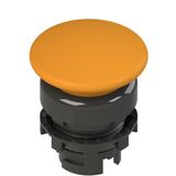 Bright orange mushroom button E2 1PL2F8410