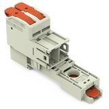 1-conductor male connector lever Push-in CAGE CLAMP® light gray