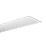 Apollon® 21 linear, direkt strahlend, Lichtfarbe 830, DALI