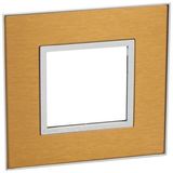 Plate Arteor - French/German std - square - 2 modules - gold brass