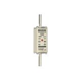 Fuse-link NH1 gG 500VAC 125A live tags Double indicator