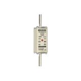 Fuse-link NH1 gG 500VAC 100A live tags Double indicator