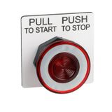 PUSHBUTTON 30MM