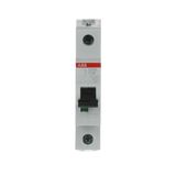 S201L-C10 Miniature Circuit Breaker - 1P - C - 10 A