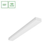 LIMEA SUBTILO   600mm 15W CCT 230V 120deg IP20 WHITE 2 years warranty