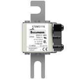 Fuse-link, high speed, 250 A, AC 690 V, compact size 1, 43 x 60 x 110 mm, aR, DIN, IEC, single indicator