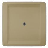 Style, blanking plate, 68x 68 mm malt gold