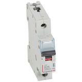 DX³6000 10kA high inlet and low outgoing screw circuit breaker 1P 230V~ to 400V~ - 25A - curve B - 1 module