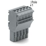 1-conductor female connector Push-in CAGE CLAMP® 4 mm² gray