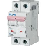 Miniature circuit breaker (MCB), 2 A, 2p, characteristic: C