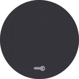 Rocker imprinted symbol for door opener, R.1/R.3, black glossy