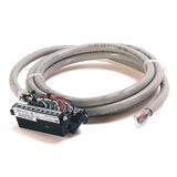 Digital Cable Connection Products