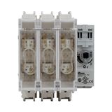 RDF100J-3 Switch 100A J 3P UL98