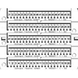 Marking tags 1-50 (each 2x)