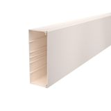 WDK80210CW  Wall and ceiling channel, with perforated bottom, 80x210x2000, cream white Polyvinyl chloride