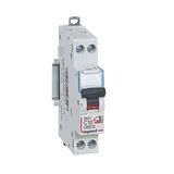 Phase + Neutral circuit breaker - 2 A - screw terminals - 1 module