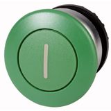 Mushroom actuator, RMQ-Titan, Mushroom, momentary, Mushroom green, green, inscribed, Bezel: titanium