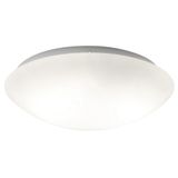 Ceiling Lamp D:160 Disk