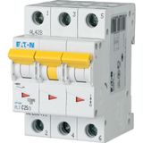 Miniature circuit breaker (MCB), 25 A, 3p, characteristic: D