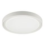 Ceiling Light White Anabella