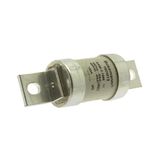 Fuse-link, low voltage, 160 A, AC 660 V, DC 400 V, BS88, 38 x 120 mm, gL/gG, BS