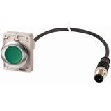 Illuminated pushbutton actuator, Flat, momentary, 1 N/O, Cable (black) with M12A plug, 4 pole, 1 m, LED green, green, Blank, 24 V AC/DC, Metal bezel