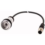 Pushbutton, Flat, momentary, 1 N/O, Cable (black) with M12A plug, 4 pole, 0.2 m, Without button plate, Bezel: titanium