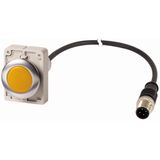 Indicator light, Flat, Cable (black) with M12A plug, 4 pole, 1 m, Lens yellow, LED white, 24 V AC/DC