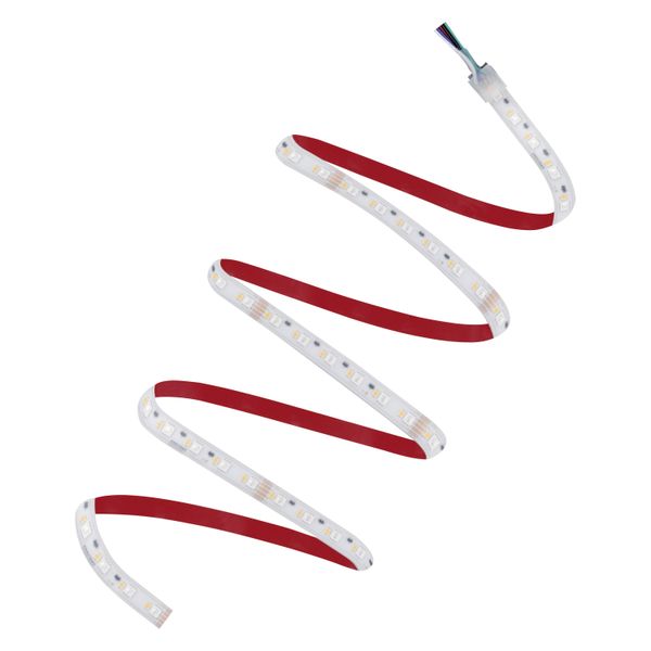 LED STRIP PERFORMANCE-1000 RGBW PROTECTED -1000/RGBW/827/5/IP66 image 3