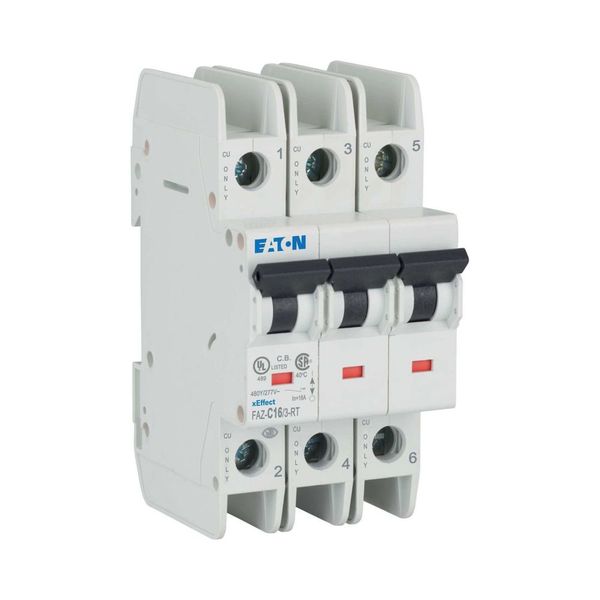 Miniature circuit breaker (MCB), 16 A, 3p, characteristic: C image 17