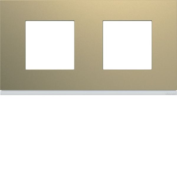 GALLERY FRAME 2x2 F. HORIZONTAL CHAMPAGNE image 1
