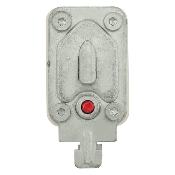 Fuse-link, high speed, 125 A, AC 690 V, DIN 00, 30 x 60 x 79 mm, gR, DIN, IEC, single indicator image 12