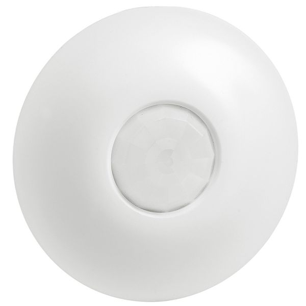 PACK CEILING DETECTOR image 1