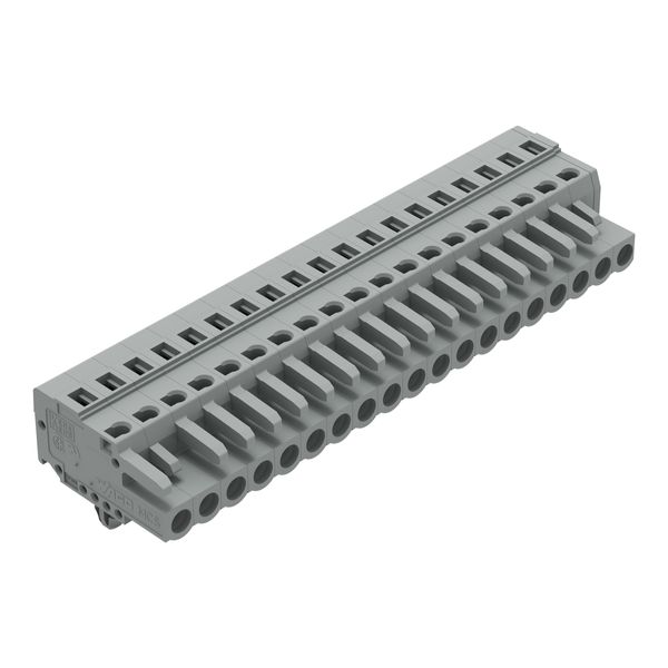 1-conductor female connector CAGE CLAMP® 2.5 mm² gray image 1