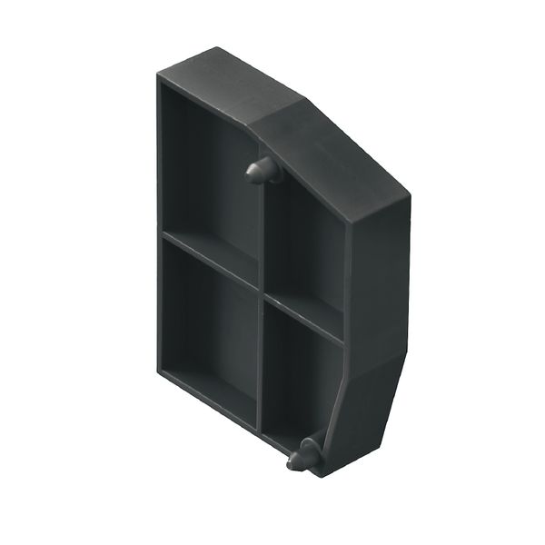 End and partition plate for terminals, 54.1 mm x 7.2 mm, black image 1